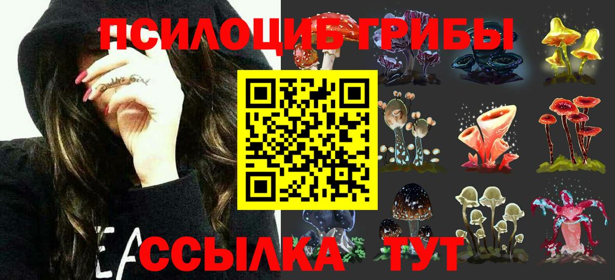 Псилоцибиновые грибы ЛСД Волгодонск
